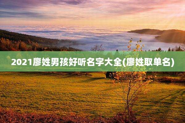 2021廖姓男孩好听名字大全(廖姓取单名)