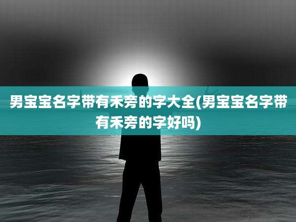 男宝宝名字带有禾旁的字大全(男宝宝名字带有禾旁的字好吗)