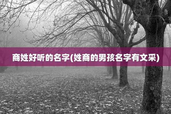 商姓好听的名字(姓商的男孩名字有文采)