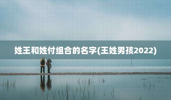 姓王和姓付组合的名字(王姓男孩2022)