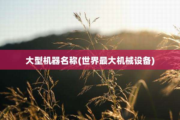大型机器名称(世界最大机械设备)