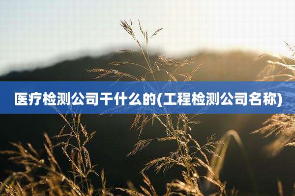 医疗检测公司干什么的(工程检测公司名称)