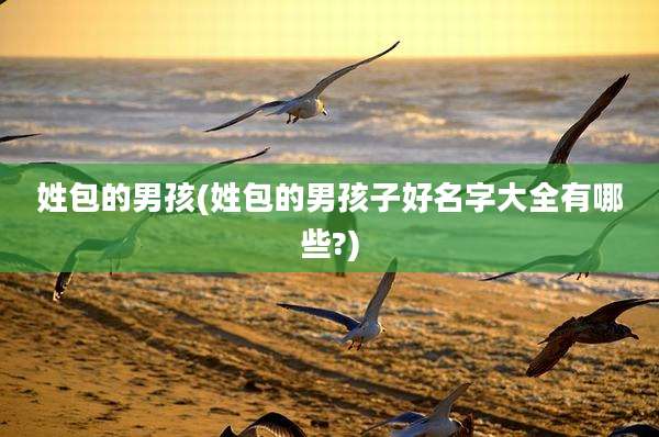 姓包的男孩(姓包的男孩子好名字大全有哪些?)