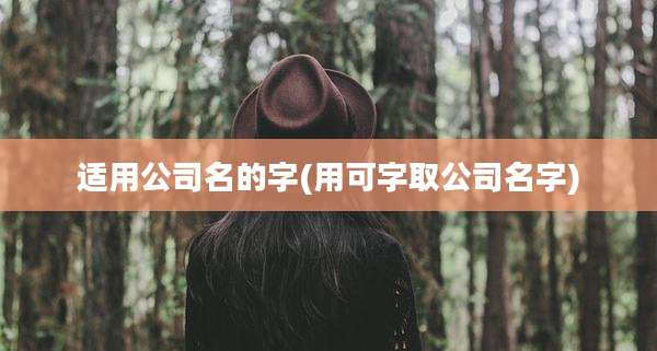 适用公司名的字(用可字取公司名字)