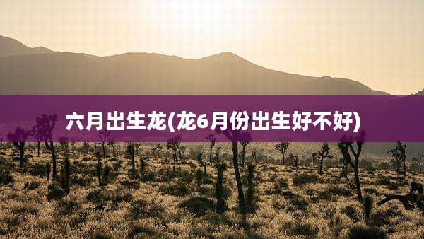 六月出生龙(龙6月份出生好不好)