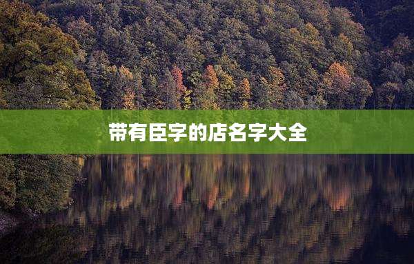 带有臣字的店名字大全