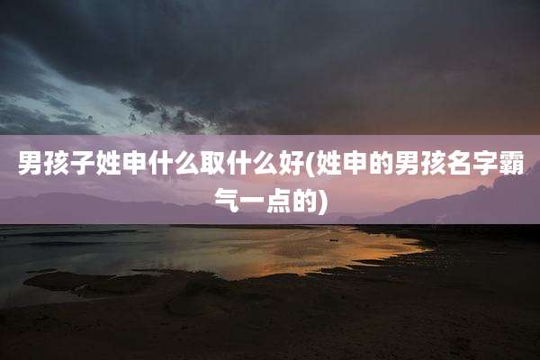男孩子姓申什么取什么好(姓申的男孩名字霸气一点的)