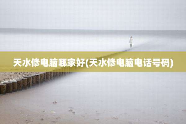 天水修电脑哪家好(天水修电脑电话号码)
