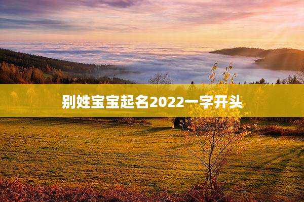别姓宝宝起名2022一字开头