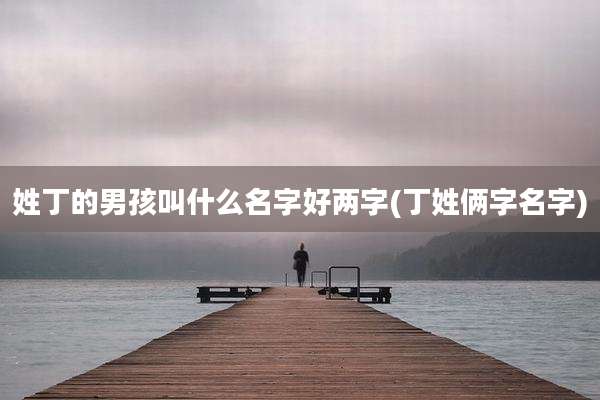 姓丁的男孩叫什么名字好两字(丁姓俩字名字)