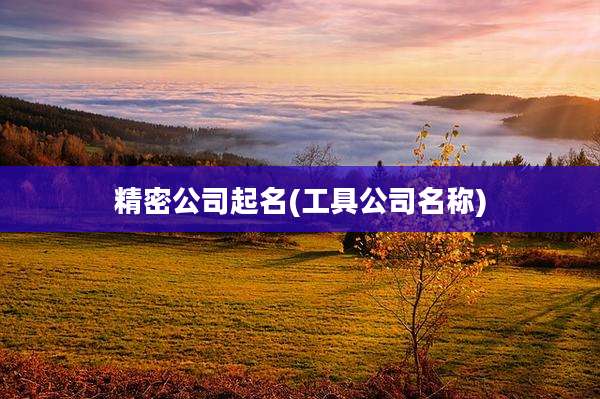 精密公司起名(工具公司名称)