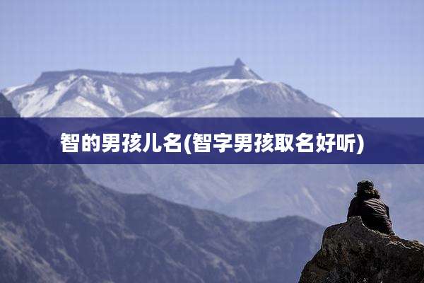 智的男孩儿名(智字男孩取名好听)