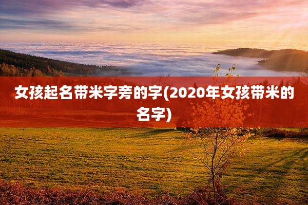 女孩起名带米字旁的字(2020年女孩带米的名字)