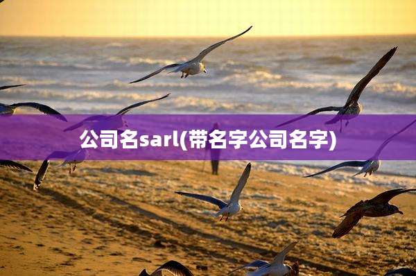 公司名sarl(带名字公司名字)