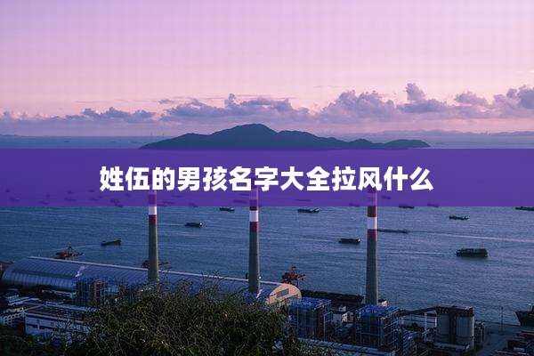 姓伍的男孩名字大全拉风什么