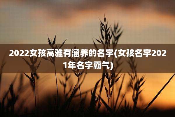 2022女孩高雅有涵养的名字(女孩名字2021年名字霸气)
