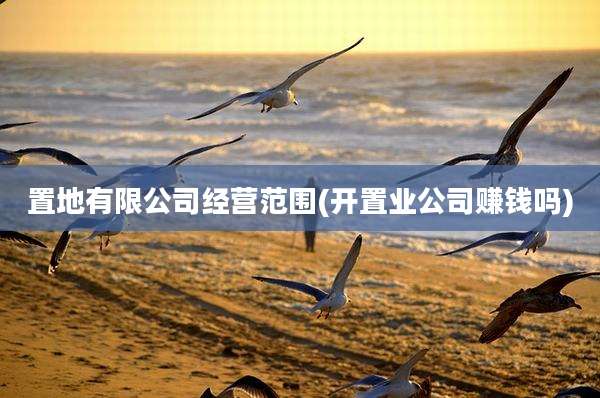 置地有限公司经营范围(开置业公司赚钱吗)