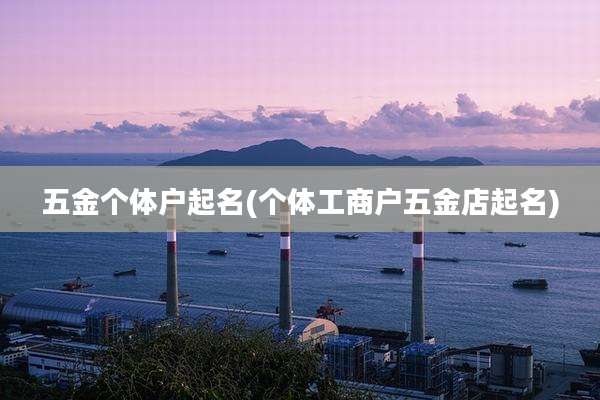 五金个体户起名(个体工商户五金店起名)