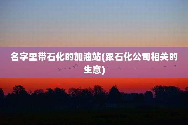 名字里带石化的加油站(跟石化公司相关的生意)