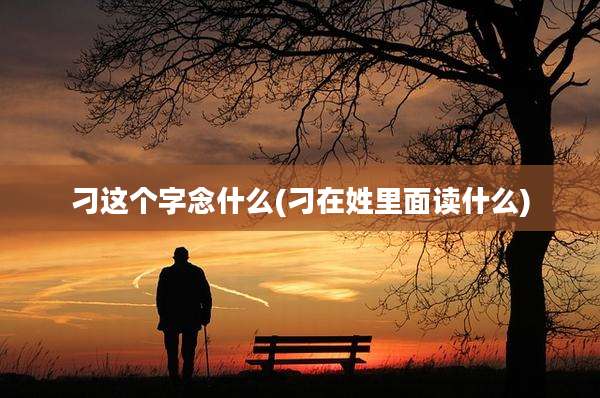 刁这个字念什么(刁在姓里面读什么)