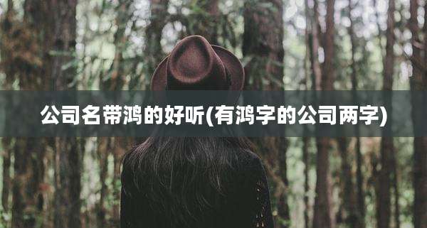 公司名带鸿的好听(有鸿字的公司两字)