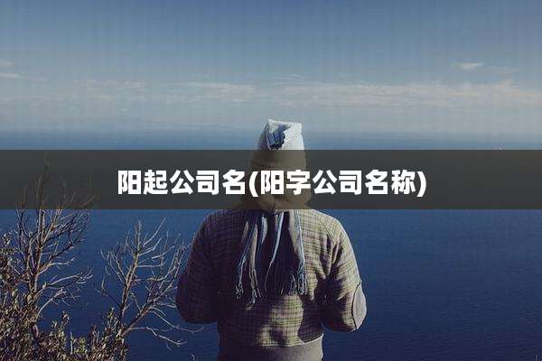 阳起公司名(阳字公司名称)
