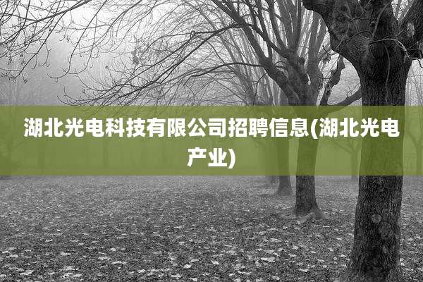 湖北光电科技有限公司招聘信息(湖北光电产业)