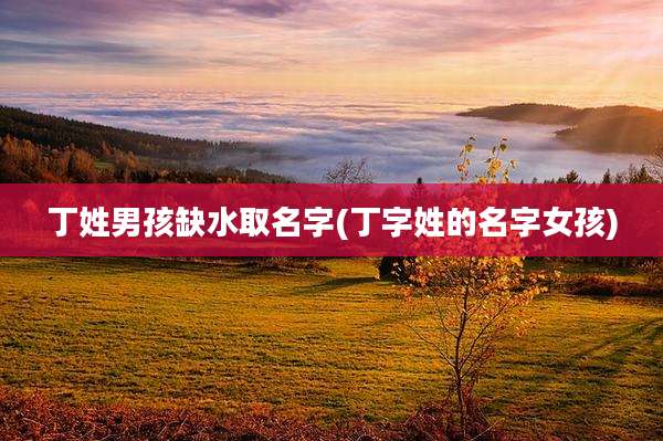 丁姓男孩缺水取名字(丁字姓的名字女孩)