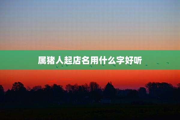 属猪人起店名用什么字好听