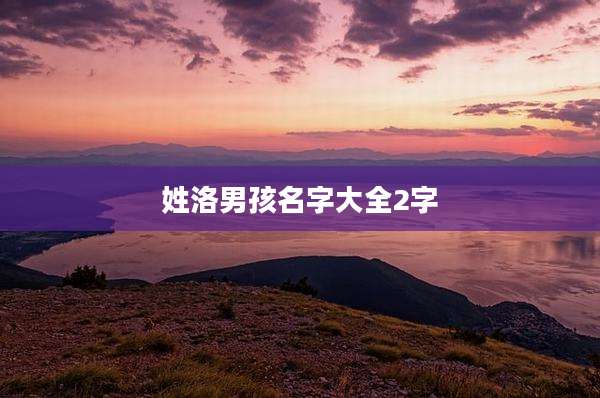 姓洛男孩名字大全2字