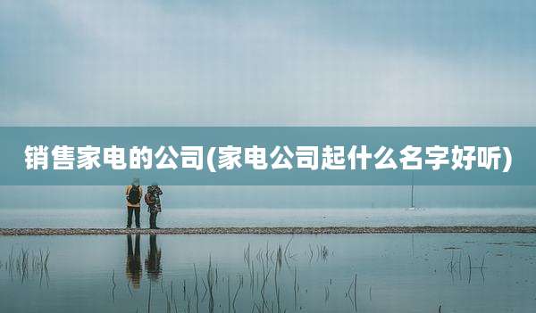 销售家电的公司(家电公司起什么名字好听)