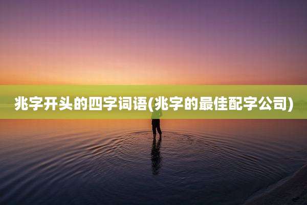 兆字开头的四字词语(兆字的最佳配字公司)