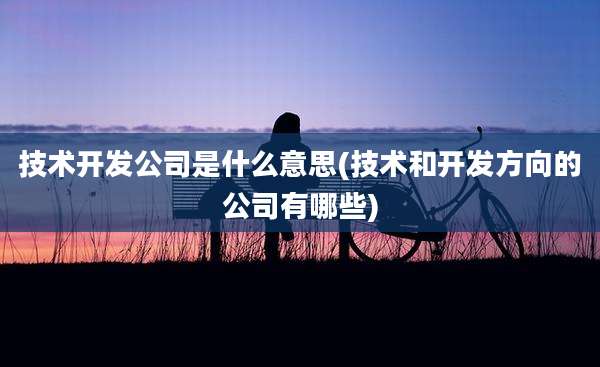 技术开发公司是什么意思(技术和开发方向的公司有哪些)