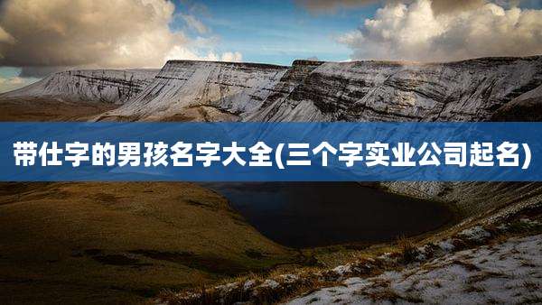 带仕字的男孩名字大全(三个字实业公司起名)