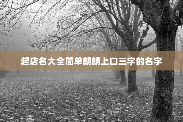 起店名大全简单朗朗上口三字的名字