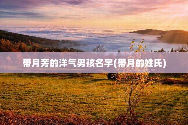 带月旁的洋气男孩名字(带月的姓氏)