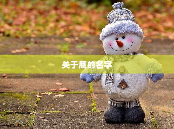关于鹰的名字