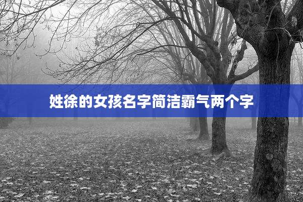 姓徐的女孩名字简洁霸气两个字