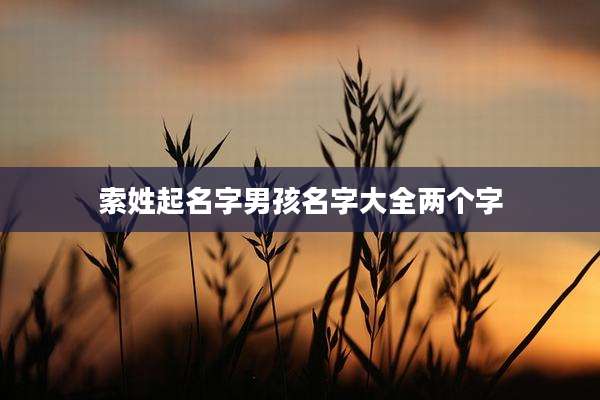 索姓起名字男孩名字大全两个字