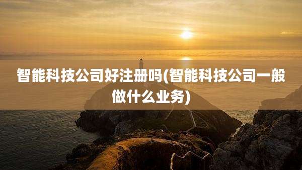 智能科技公司好注册吗(智能科技公司一般做什么业务)