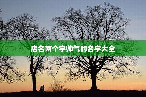 店名两个字帅气的名字大全