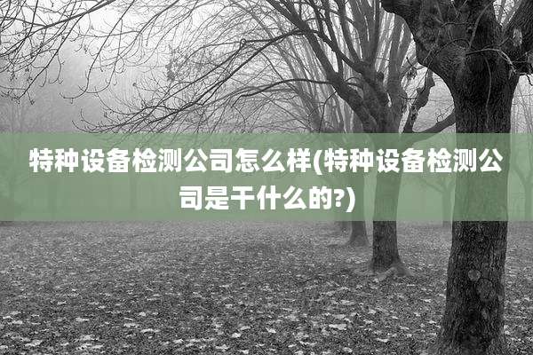 特种设备检测公司怎么样(特种设备检测公司是干什么的?)