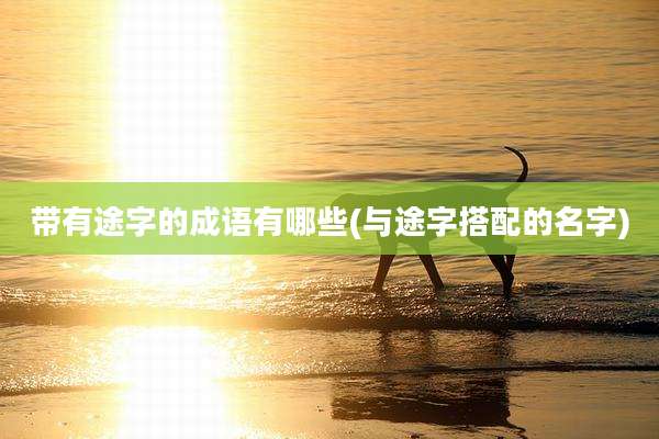 带有途字的成语有哪些(与途字搭配的名字)