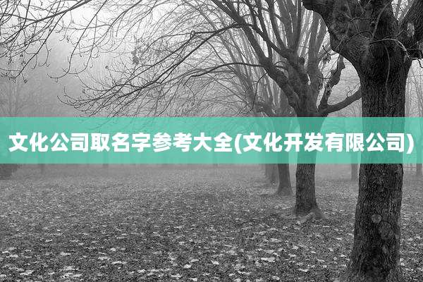 文化公司取名字参考大全(文化开发有限公司)