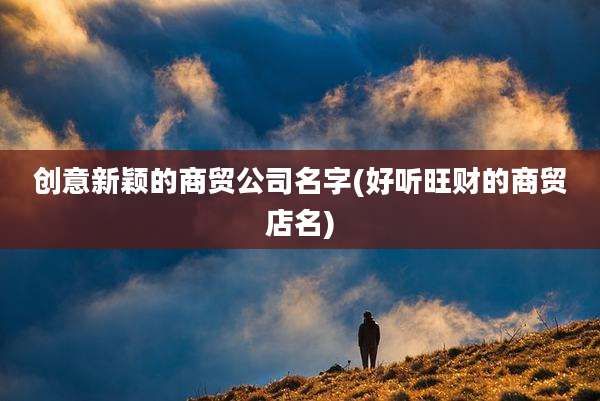 创意新颖的商贸公司名字(好听旺财的商贸店名)