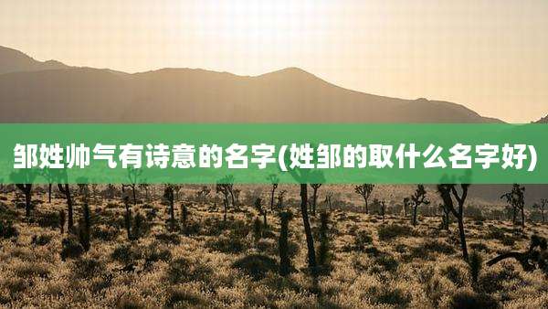 邹姓帅气有诗意的名字(姓邹的取什么名字好)