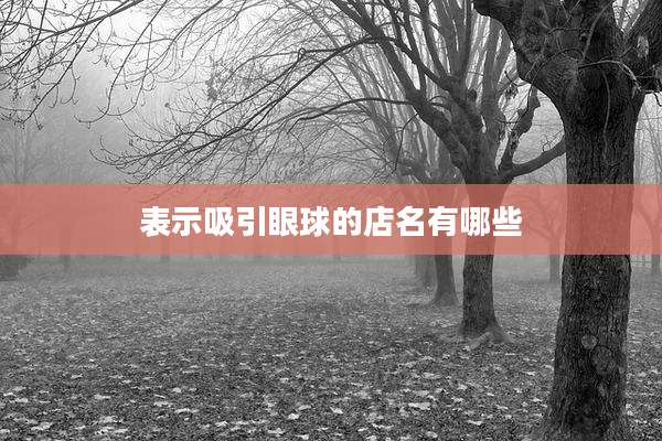 表示吸引眼球的店名有哪些