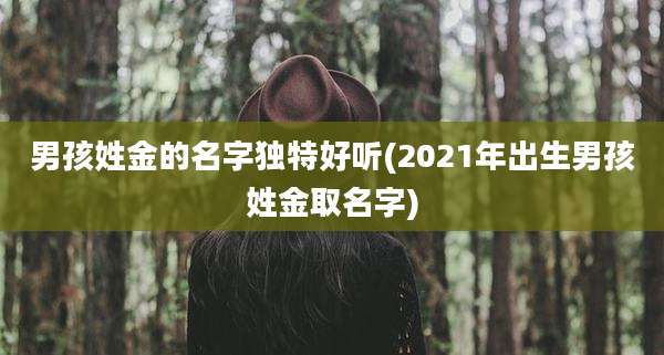 男孩姓金的名字独特好听(2021年出生男孩姓金取名字)