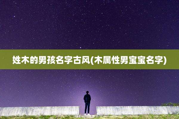 姓木的男孩名字古风(木属性男宝宝名字)