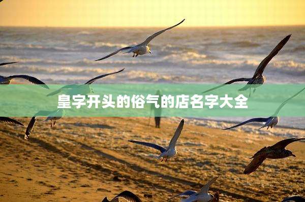 皇字开头的俗气的店名字大全